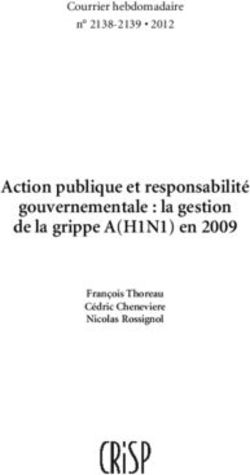 Action publique et responsabilit&eacute; gouvernementale : la gestion de la grippe A(H1N1) en 2009 - Courrier hebdomadaire n 2138-2139 2012