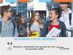 NOUVEAU LYCÉE GÉNÉRAL - Réunion à destination des parents de 1ere 23 novembre 2020