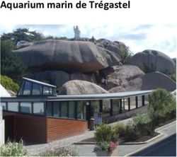 Aquarium marin de Trégastel - Festival d'art de l'Estran