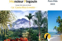 Monsieur Pingouin - Le Costa Rica &agrave; moto - Pura Vida 2022