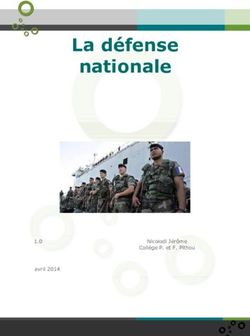 La défense nationale 1.0 - sepia