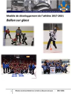 Ballon sur glace Modèle de développement de l'athlète 2017-2021