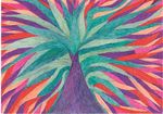 EXPOSITION 12 JUILLET 2019 5 JANVIER 2020 - Fondation Cartier