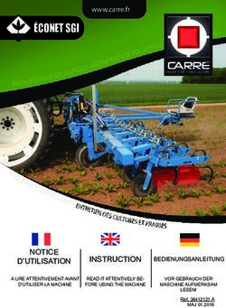 ÉCONET SGI LA RÉFÉRENCE EN BINAGE - Carré