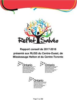 Rapport conseil de 2017-2018 présenté aux RLISS du Centre-Ouest, de Mississauga Halton et du Centre-Toronto - Entité 3