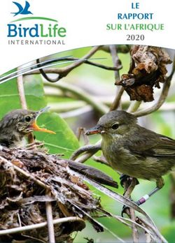 LE RAPPORT SUR L'AFRIQUE 2020 - BirdLife International