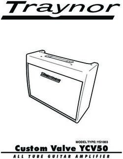 Custom Valve YCV50 ALL TUBE GUITAR AMPLIFIER - MODEL TYPE: YS1003 - Traynor
