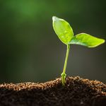 &Eacute;dition &Eacute;T&Eacute; &Eacute;lections g&eacute;n&eacute;rales municipales Camp de jour Folies d'&eacute;t&eacute; Programmation estivale - Ville de Rigaud