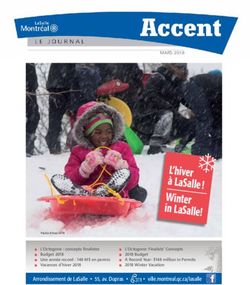 DL'HIVER &Agrave; LASALLE ! WINTER IN LASALLE! - VILLE DE MONTR&Eacute;AL