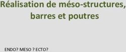 R&eacute;alisation de m&eacute;so-structures, barres et poutres - ENDO? MESO ? ECTO? - Letexierserge.com
