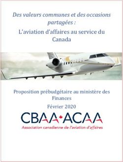 Des valeurs communes et des occasions partagées : L'aviation d'affaires au service du Canada - Canadian ...
