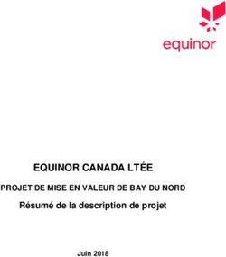EQUINOR CANADA LTÉE Résumé de la description de projet - PROJET DE MISE EN VALEUR DE BAY DU NORD - ceaa-acee.