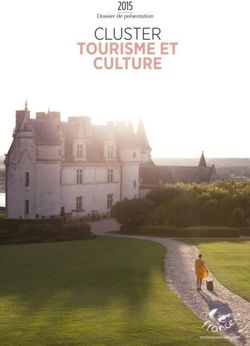 CLUSTER TOURISME ET CULTURE - Dossier de présentation