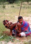 FAIRE LA LIAISON - conservation de la biodiversit&eacute;, utilisation durable ...