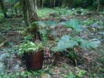 FAIRE LA LIAISON - conservation de la biodiversit&eacute;, utilisation durable ...