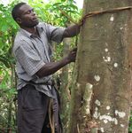FAIRE LA LIAISON - conservation de la biodiversit&eacute;, utilisation durable ...