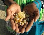 FAIRE LA LIAISON - conservation de la biodiversit&eacute;, utilisation durable ...