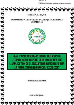 PLAN D'ACTION SOUS-REGIONAL DES PAYS DE L'ESPACE COMIFAC POUR LE RENFORCEMENT DE L'APPLICATION DES LEGISLATIONS NATIONALES SUR LA FAUNE ...