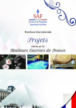 Projets Meilleurs Ouvriers de France - Brochure Internationale - SAF EXPORTER OF TALENT