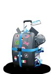 2019 FORMATIONS MAKEYOURIDEASTRAVELSAFELY* - IEEPI