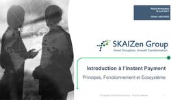 Introduction &agrave; l'Instant Payment - Principes, Fonctionnement et Ecosyst&egrave;me - SKAIZen Group