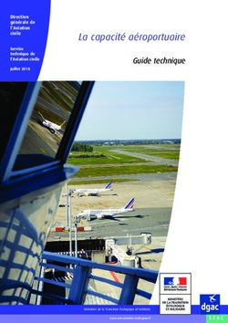 La capacité aéroportuaire - Guide technique Direction générale de l'Aviation civile