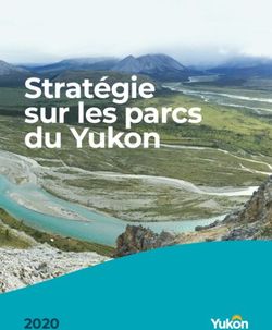 Stratégie sur les parcs du Yukon 2020