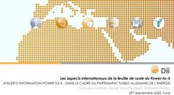Les aspects internationaux de la feuille de route du Power-to-X - ATELIER D'INFORMATION POWER-TO-X - DANS LE CADRE DU PARTENARIAT TUNISO-ALLEMAND ...