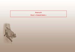 PARTIE IV VOLET " CHIROPTÈRES " - Etude écologique - Vienne