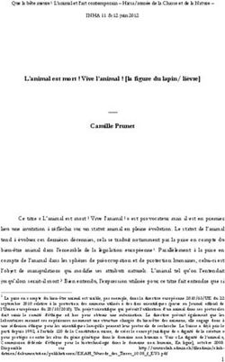 L'animal est mort ! Vive l'animal ! la figure du lapin/ li&egrave;vre Camille Prunet