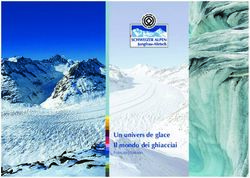 Un univers de glace Il mondo dei ghiacciai - Aletsch Arena