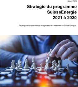 STRATÉGIE DU PROGRAMME SUISSEENERGIE 2021 À 2030 - 6 JUIN 2019 PROJET POUR LA CONSULTATION DES PARTENAIRES EXTERNES DE SUISSEENERGIE