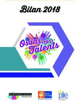 Bilan 2018 - Pôle Métropolitain de l'Artois