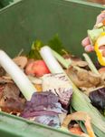 D&eacute;chets organiques Caract&eacute;risation et gestion des en Am&eacute;rique du Nord - Livre blanc - Commission for Environmental