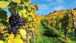 Bade-wurtemBerg terre de tradition et de haute technologie - Missions allemandes en France