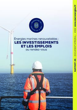 LES INVESTISSEMENTS Énergies Marines Renouvelables : ET LES EMPLOIS