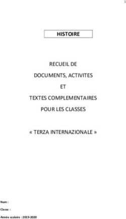 HISTOIRE RECUEIL DE DOCUMENTS, ACTIVITES ET TEXTES COMPLEMENTAIRES POUR LES CLASSES " TERZA INTERNAZIONALE " - Liceo Statale Niccolò ...