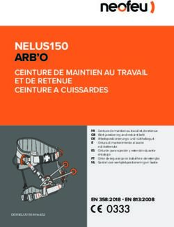 NELUS150 ARB'O CEINTURE DE MAINTIEN AU TRAVAIL ET DE RETENUE CEINTURE A CUISSARDES - Neofeu