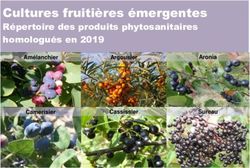 Cultures fruitières émergentes - Aronia