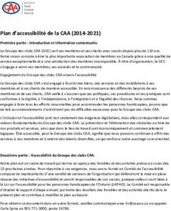 Plan d'accessibilité de la CAA (2014-2021) - Orion Travel ...