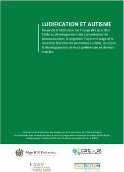 LUDIFICATION ET AUTISME - Firah