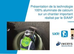 Présentation de la technologie 100% aluminate de calcium sur un chantier important réalisé par le SIAAP 14/06/2018 - FSTT