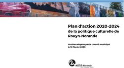 Plan d'action 2020-2024 - de la politique culturelle de Rouyn-Noranda Version adoptée par le conseil municipal le 10 février 2020 - Ville de ...