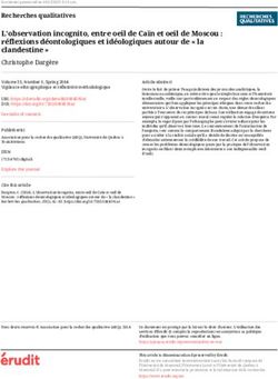 L'observation incognito, entre oeil de Ca&iuml;n et oeil de Moscou : r&eacute;flexions d&eacute;ontologiques et id&eacute;ologiques autour de " la clandestine "