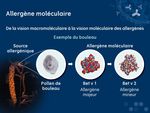 RNSA 2018 BORDEAUX - INT&Eacute;R&Ecirc;T DES IGE STANDARDS ET DES IGE RECOMBINANTS DANS LES POLLINOSES