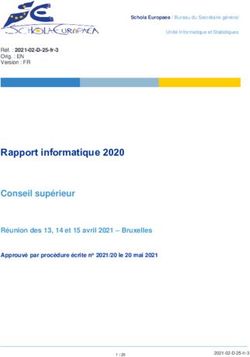 Rapport informatique 2020 Conseil sup&eacute;rieur - Bureau du Secr&eacute;taire g&eacute;n&eacute;ral des Ecoles ...