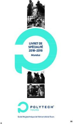 LIVRET DE SPÉCIALITÉ 2018-2019 - Mundus - Ecole Polytechnique de l'Université de Tours - Université de Tours