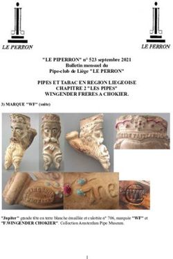 PIPES ET TABAC EN REGION LIEGEOISE CHAPITRE 2 "LES PIPES" WINGENDER FRERES A CHOKIER - Fumeurs de Pipe