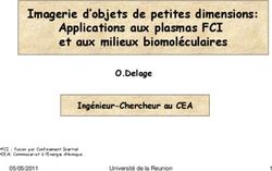 Imagerie d'objets de petites dimensions: Applications aux plasmas FCI et aux milieux biomol&eacute;culaires - O.Delage Ing&eacute;nieur-Chercheur au CEA