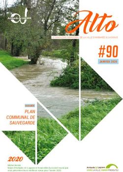 #90 - PLAN COMMUNAL DE SAUVEGARDE DOSSIER - Ambares et Lagrave